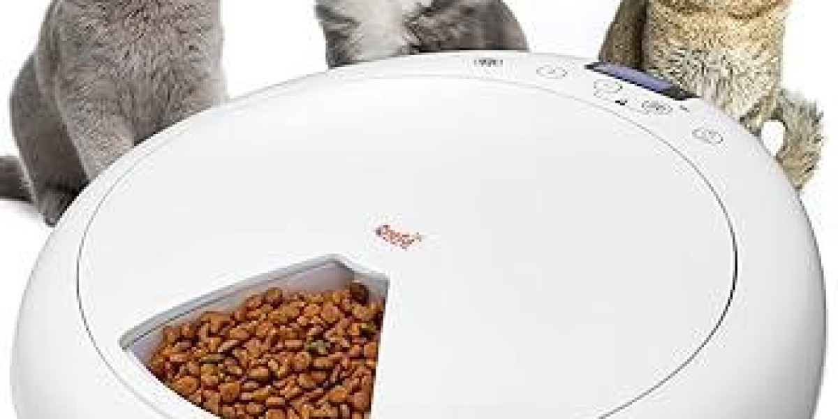 Which Pawtechpet Pet Feeder Inspires Comfort and Stability