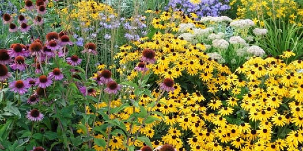 Buffalo Expenses RB James Prepare dinner gone toward get started 2025 NFL offseason software