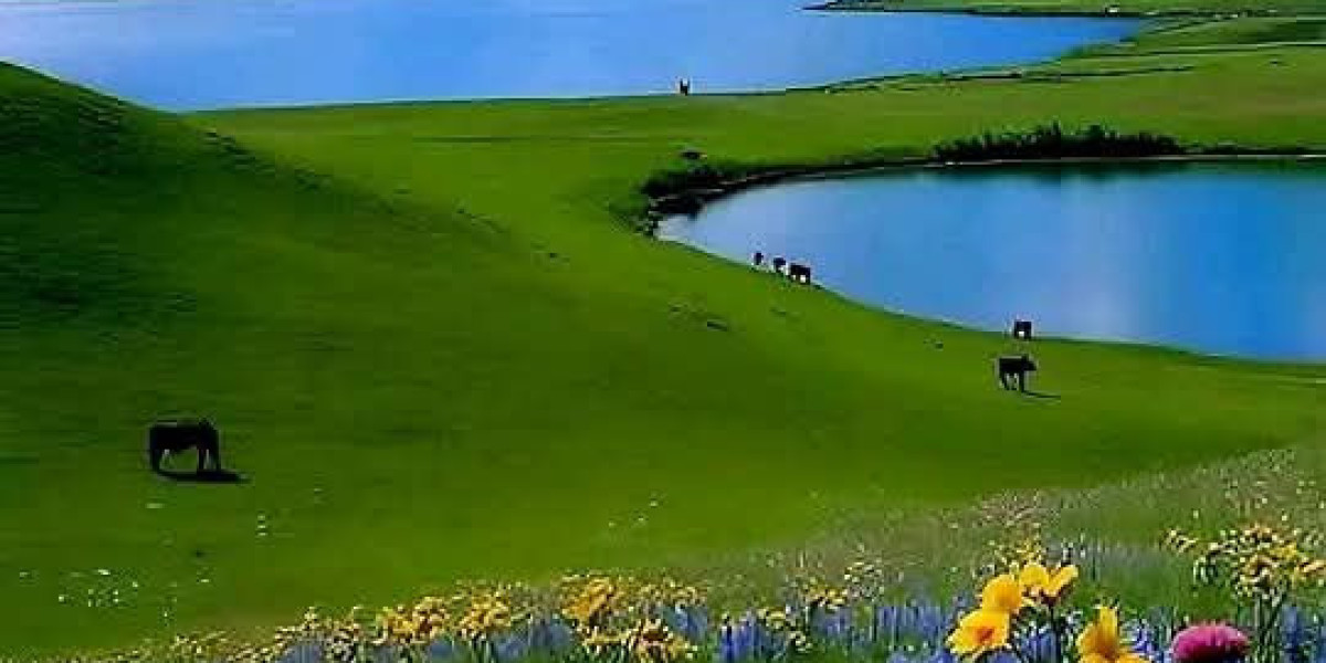 Isles Working day toward Working day: Lamoriello Offers Damage Upgrades inside of Tampa