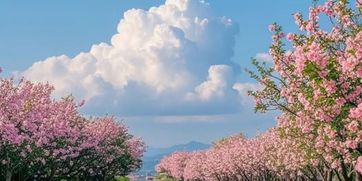 Andre Drummond repeats exchange deadline eyes emoji tweet that established off hypothesis