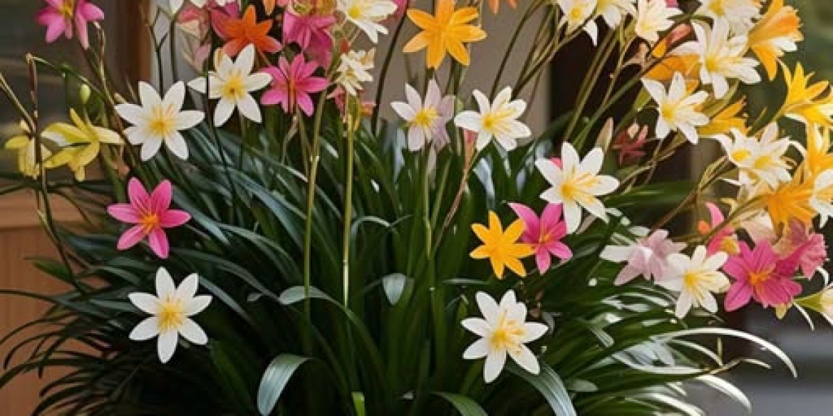 Dante Jones is a White Sox anwith a Cubs admirer as a dad and a deep delight in of baseball. Most loved avid