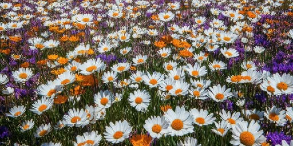 Post: Jalen McMillan toward be put upon wounded e-book when agony neck destruction