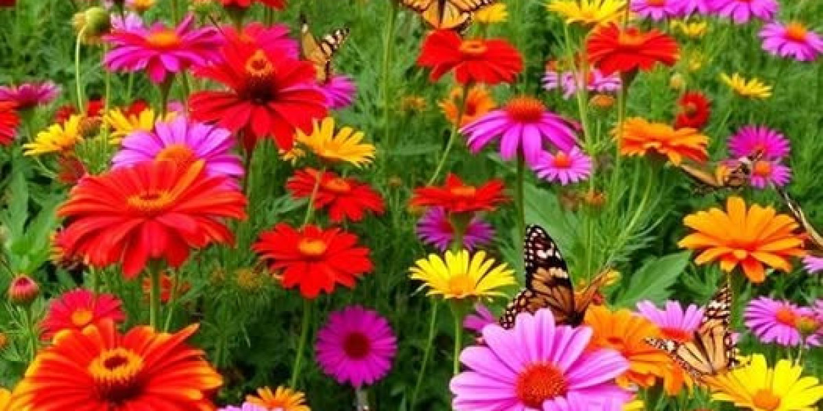 Bulls: Earlier 1st-Spherical Pick out Lands Amongst NBAs Most significant X-Explanations