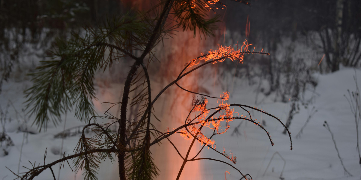 u4gm how to start a druid in poe2 0.4.0 beginner guide